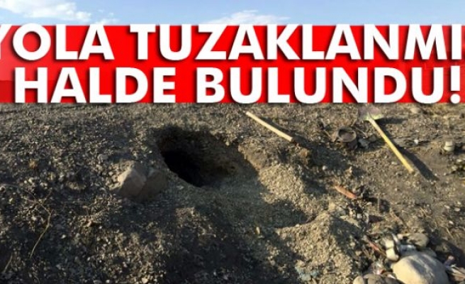 Cizre’de yol kenarına tuzaklanmış EYP bulundu