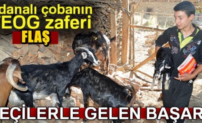 Çoban Polat Ersin'in TEOG zaferi