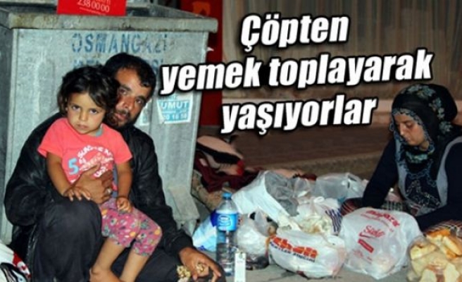 Çöpten yemek toplayarak yaşıyorlar