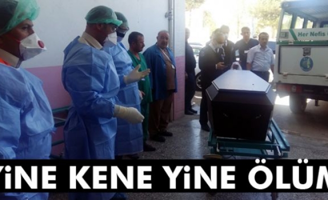 Çorum’da keneden ölüm