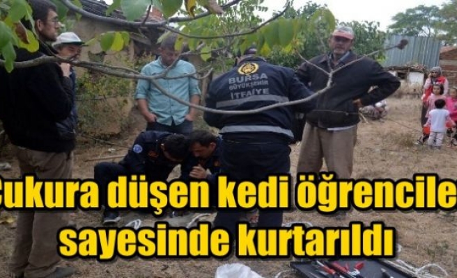 Çukura düşen kedi öğrenciler sayesinde kurtarıldı