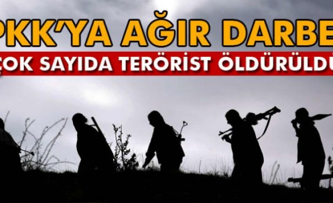 Çukurca kırsalında 12 PKK'lı öldürüldü