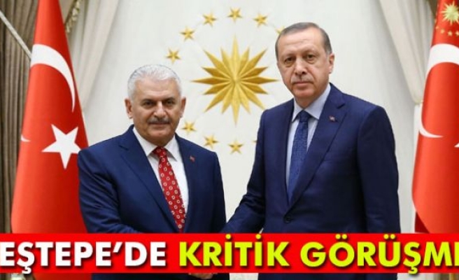 Cumhurbaşkanı Erdoğan Başbakan Yıldırım'ı kabul etti