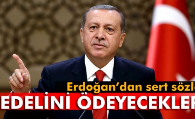 Cumhurbaşkanı Erdoğan: 'Bedelini ödeyecekler'