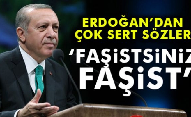 Cumhurbaşkanı Erdoğan: 'Faşistsiniz, faşist'