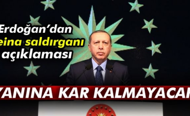 Cumhurbaşkanı Erdoğan: Yanına kar kalmayacak