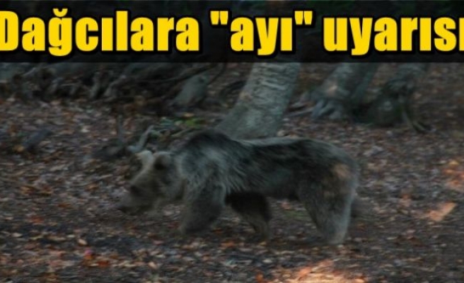 Dağcılara 