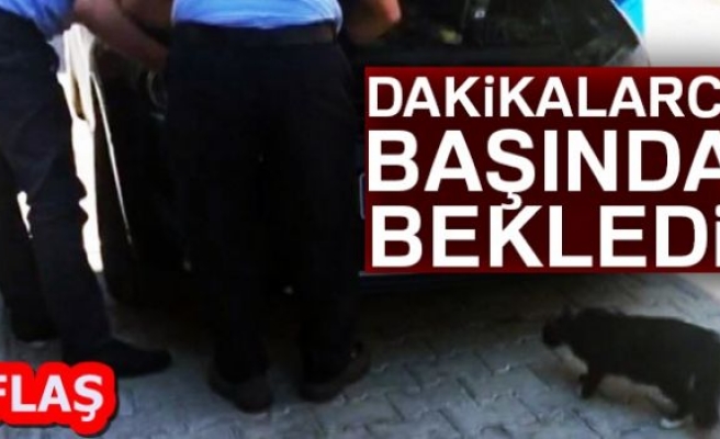 DAKİKALACA BAŞINDA BEKLEDİ!