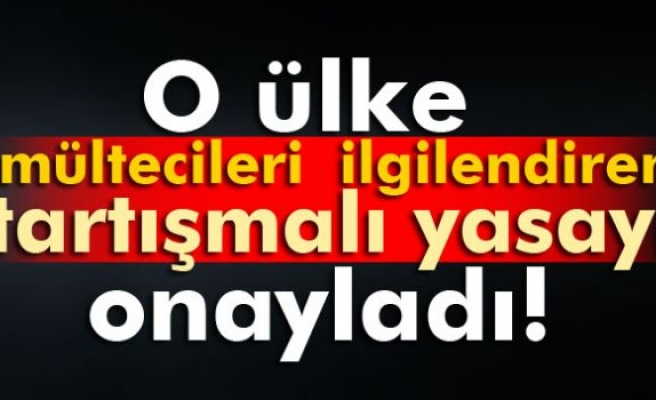 Danimarka tartışmalı yasayı onayladı