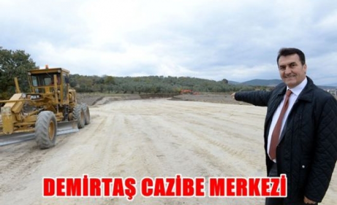 Demirtaş cazibe merkezi