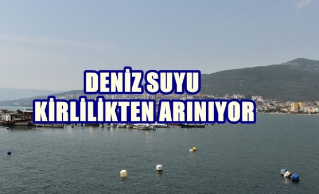 DENİZ SUYU KİRLİLİKTEN ARINIYOR