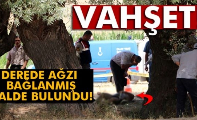 Derede ağzı poşetle bağlanmış ceset bulundu