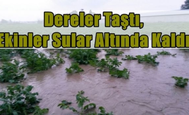 Dereler Taştı,Ekinler Sular Altında Kaldı