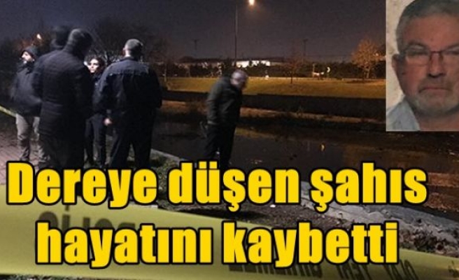 Dereye düşen şahıs hayatını kaybetti