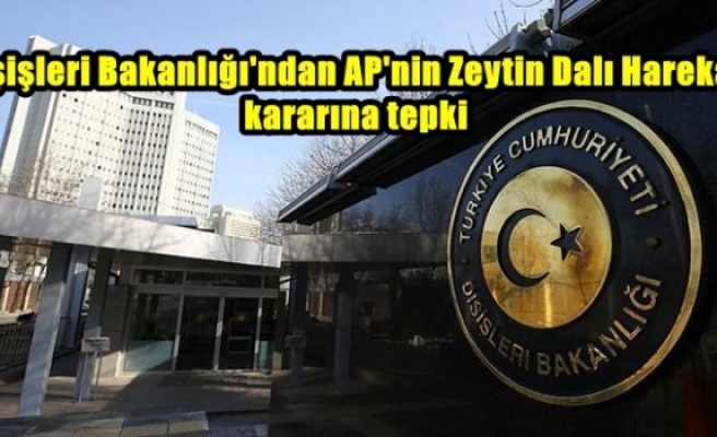 Dışişleri Bakanlığı'ndan AP'nin Zeytin Dalı Harekatı kararına tepki