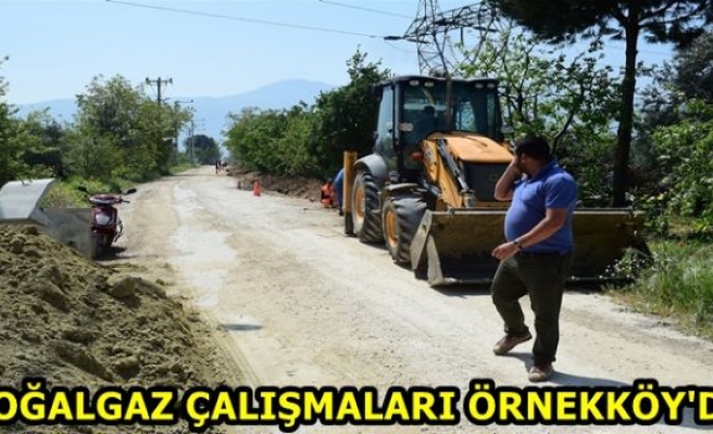 DOĞALGAZ ÇALIŞMALARI ÖRNEKKÖY'DE