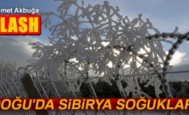 Doğu'da Sibirya soğukları!