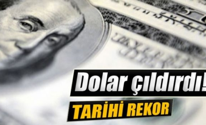 Dolar 2,46'yı aştı