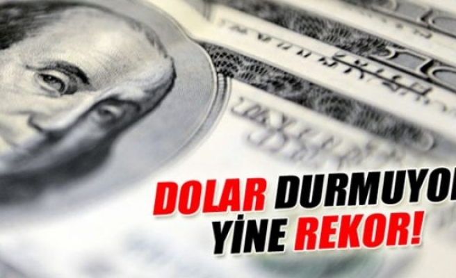 Dolar 2,50'yi aştı