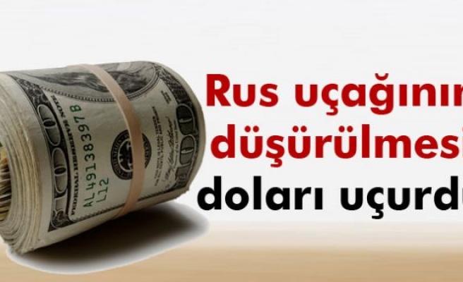 Dolar 2,90'ın üzerine çıktı