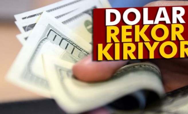 Dolar, 3,92 ile rekor tazeledi