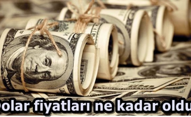 Dolar fiyatları ne kadar oldu?