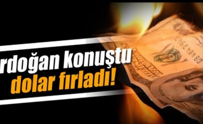 Dolar ne kadar?