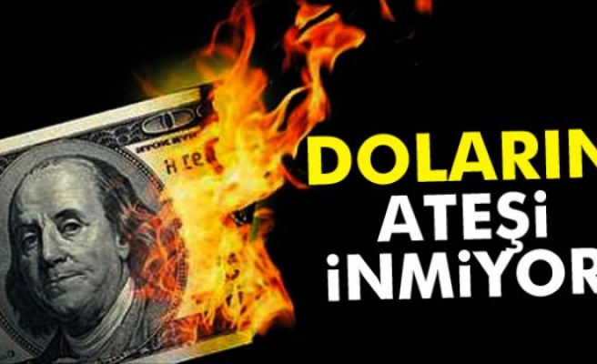 Dolar tarihi rekorunu tazeledi