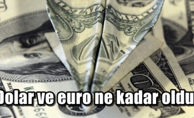 Dolar ve euro ne kadar oldu?