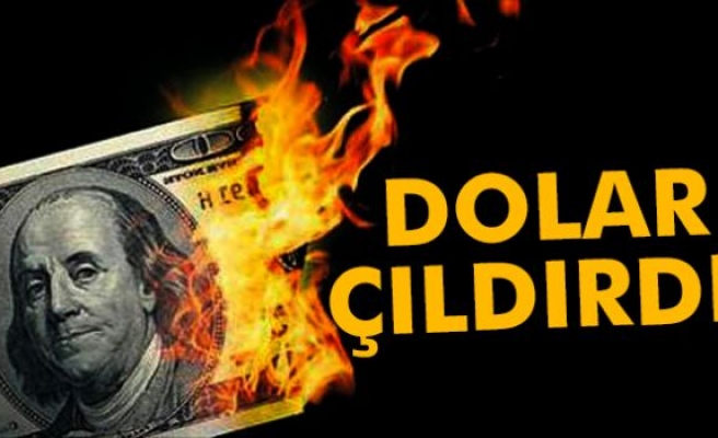 Dolarda yeni rekor 3,59