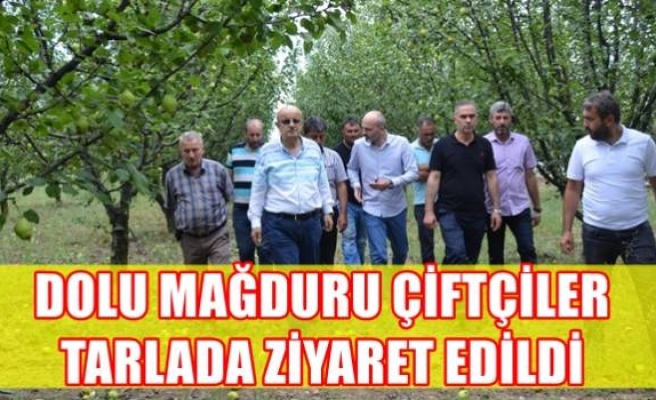 DOLU MAĞDURU ÇİFTÇİLER TARLADA ZİYARET EDİLDİ