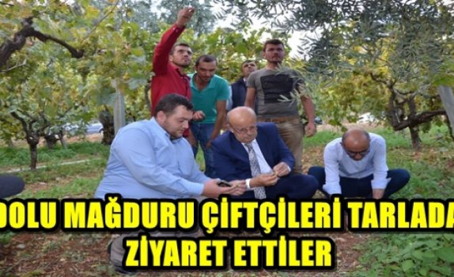 DOLU MAĞDURU ÇİFTÇİLERİ TARLADA ZİYARET ETTİLER