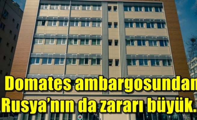 Domates ambargosundan Rusya’nın da zararı büyük…