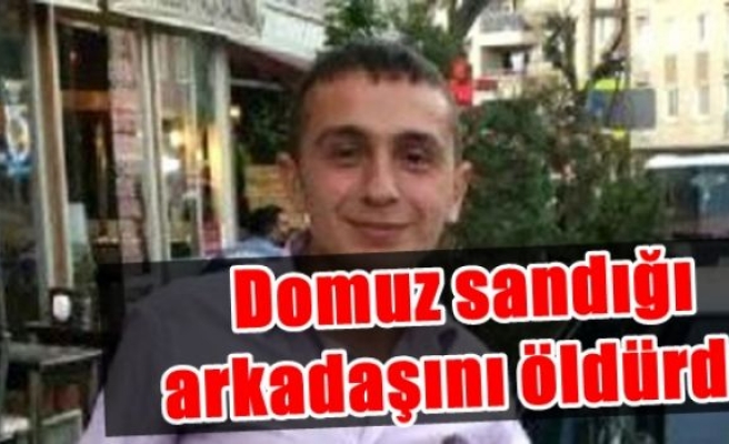 Domuz sandığı arkadaşını öldürdü