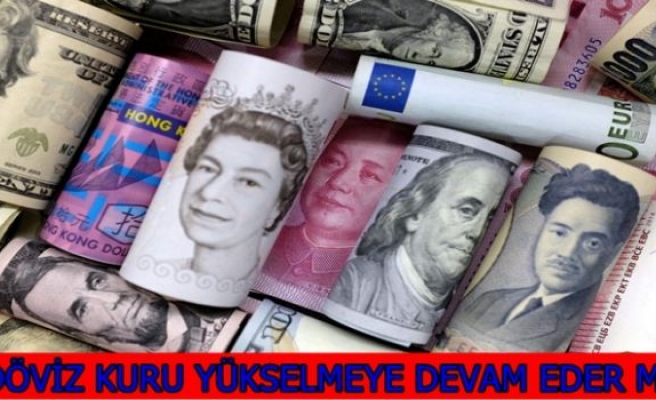 DÖVİZ KURU YÜKSELMEYE DEVAM EDER Mİ?