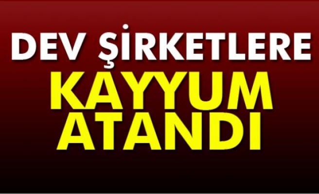 Dumankaya şirketlerine kayyum atandı