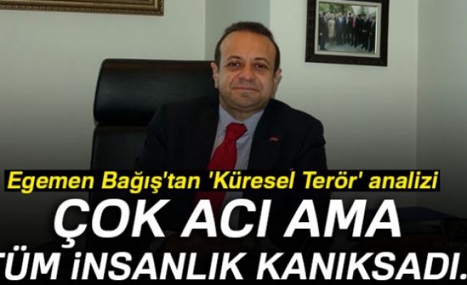 Egemen Bağış'tan 'Küresel Terör' analizi