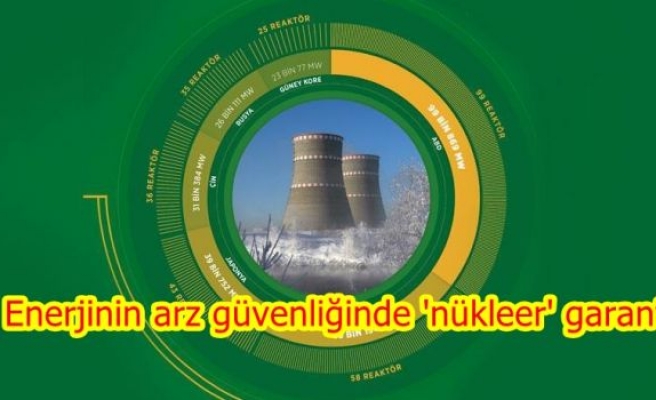 Enerjinin arz güvenliğinde 'nükleer' garanti