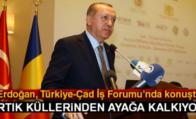 Erdoğan: 'Artık küllerinden ayağa kalkıyor'