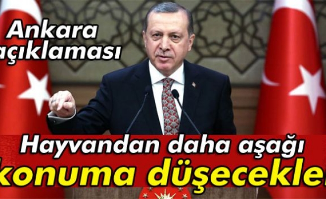 Erdoğan: 'Hayvandan daha aşağı konuma düşecekler'