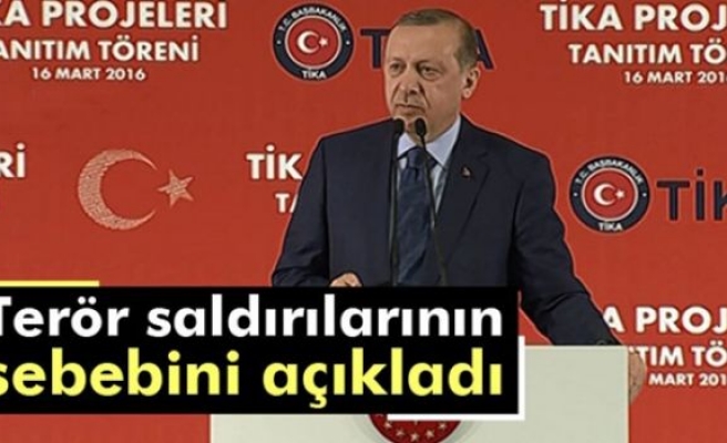 Erdoğan, terör saldırılarının sebebini açıkladı