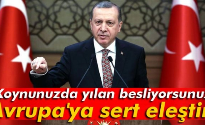 Erdoğan'dan Avrupa'ya sert eleştiri