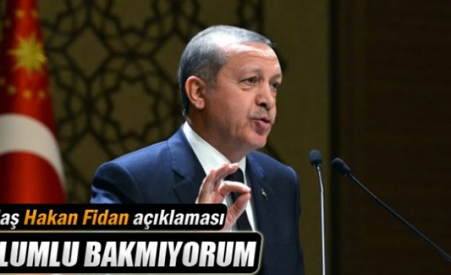 Erdoğan’dan Fidan açıklaması: 'Olumlu bakmıyorum'