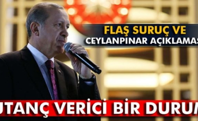 Erdoğan'dan flaş Suruç ve Ceylanpınar açıklaması