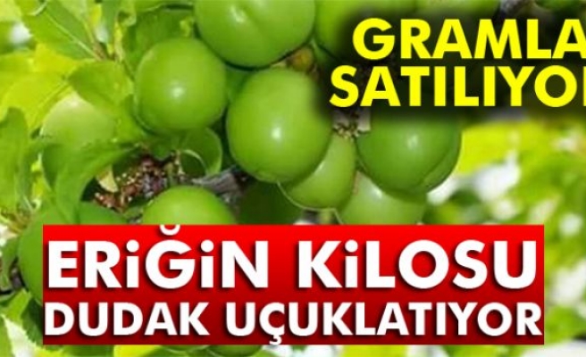 ERİĞİN KİLOSU 300 LİRA!