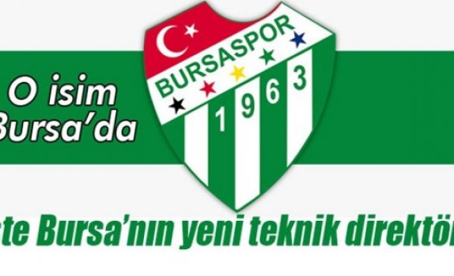 Ertuğrul Sağlam Bursaspor'da