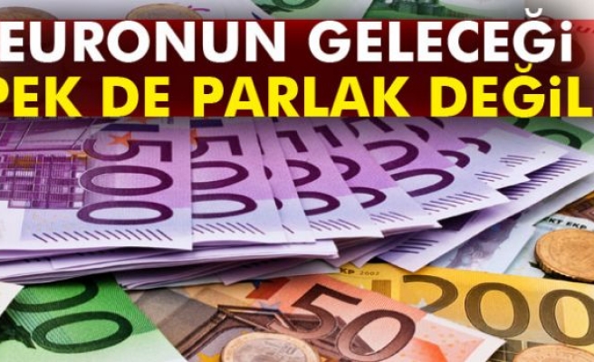 Euronun geleceği pek de parlak değil