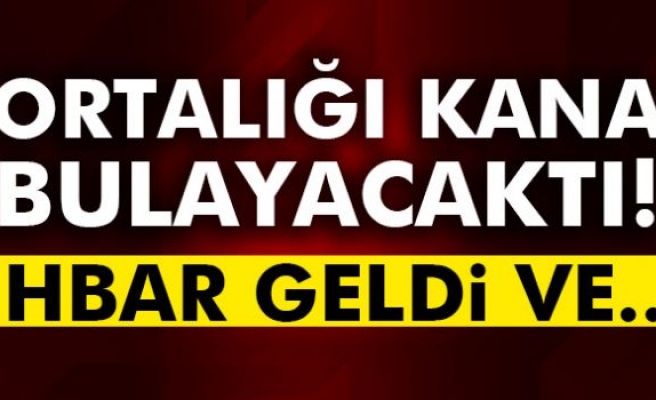 Eylem hazırlığındaki terörist yakalandı