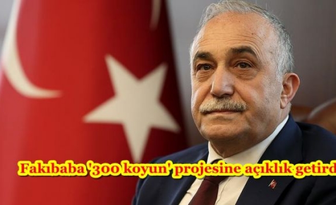 Fakıbaba '300 koyun' projesine açıklık getirdi