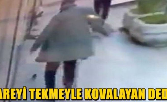 Fareyi tekmeyle kovalayan adam 